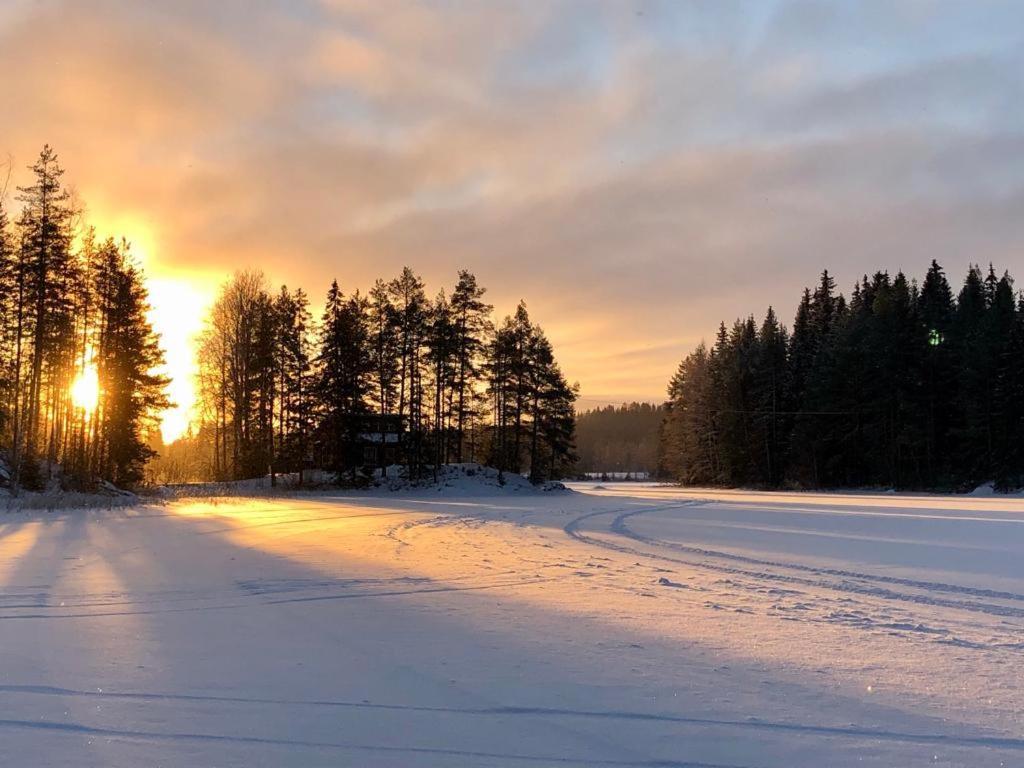 Farmholiday Kumpunen Petäjävesi Bagian luar foto